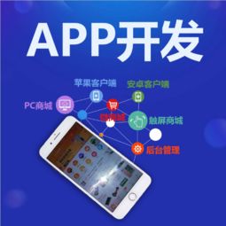 專業(yè)App開發(fā)如何實現(xiàn)效益快？軟件開發(fā)公司的選擇與策略