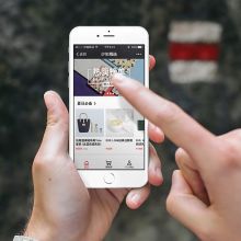 天津市龍華新技術(shù)開發(fā)公司 玩具、電子產(chǎn)品與軟件的互聯(lián)網(wǎng)銷售新勢力